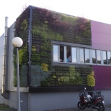 Mur-vegetal-de-facade