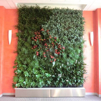 Mur-vegetal-luxembourg