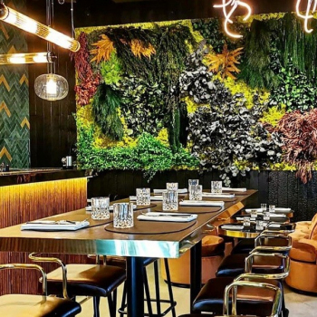 Mur-vegetal-stabilise-2