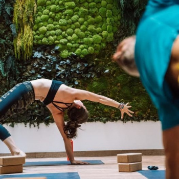 Mur-vegetal-stabilise-4